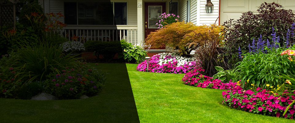 Savannah Landscapers